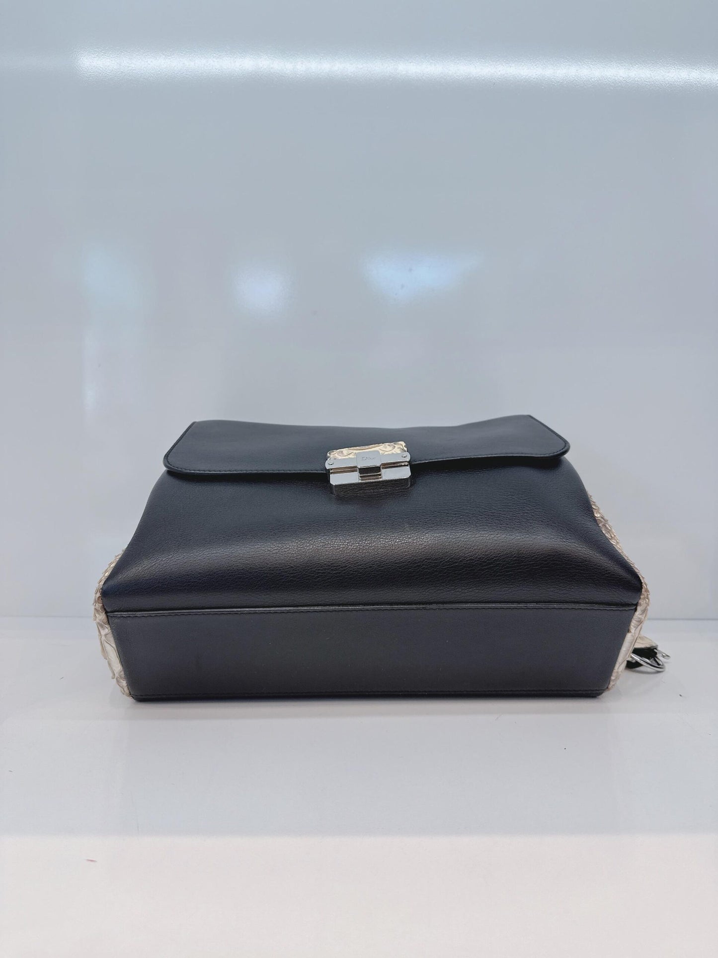 BLACK CALFSKIN PYTHON LEATHER LARGE DIORLING BAG