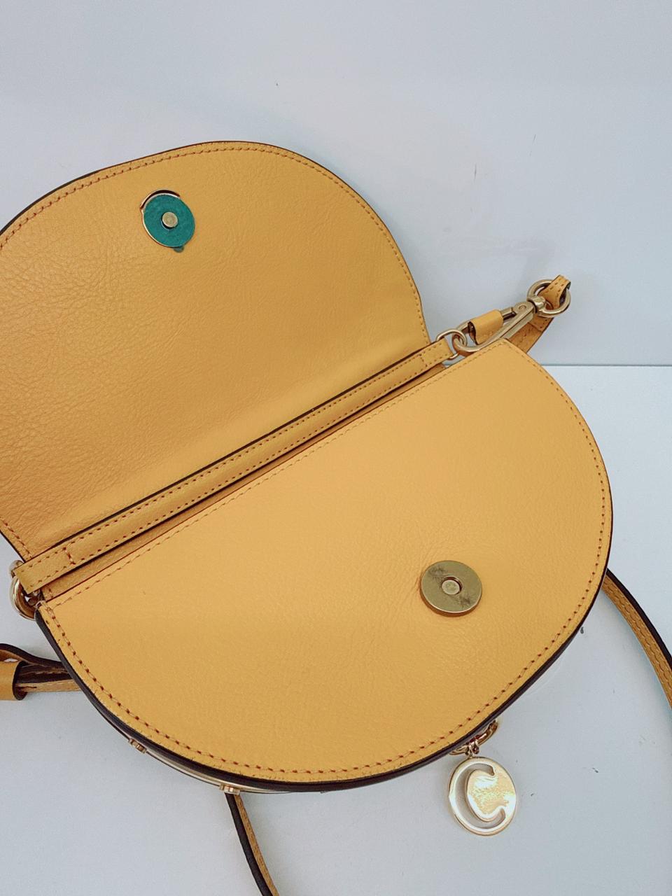 DARK OCHRE CALFSKIN LEATHER SMALL NILE BRACELET MINAUDIERE BAG