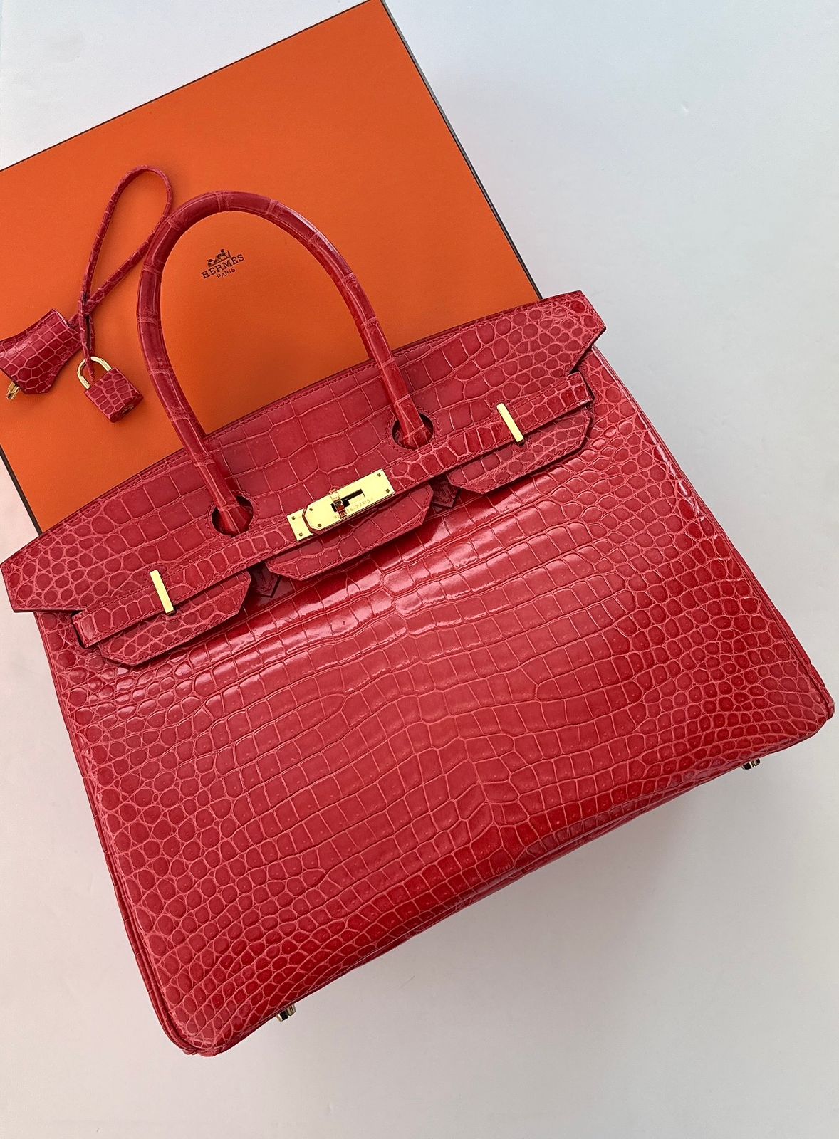 BOUGAINVILLIER POROSUS CROCODILE BIRKIN 35 GOLD HARDWARE