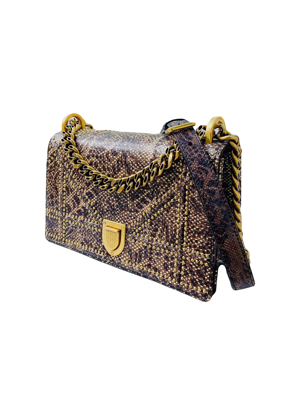 MULTICOLORED EXOTIC SKIN STUDDED DIORAMA SMALL SHOULDER BAG