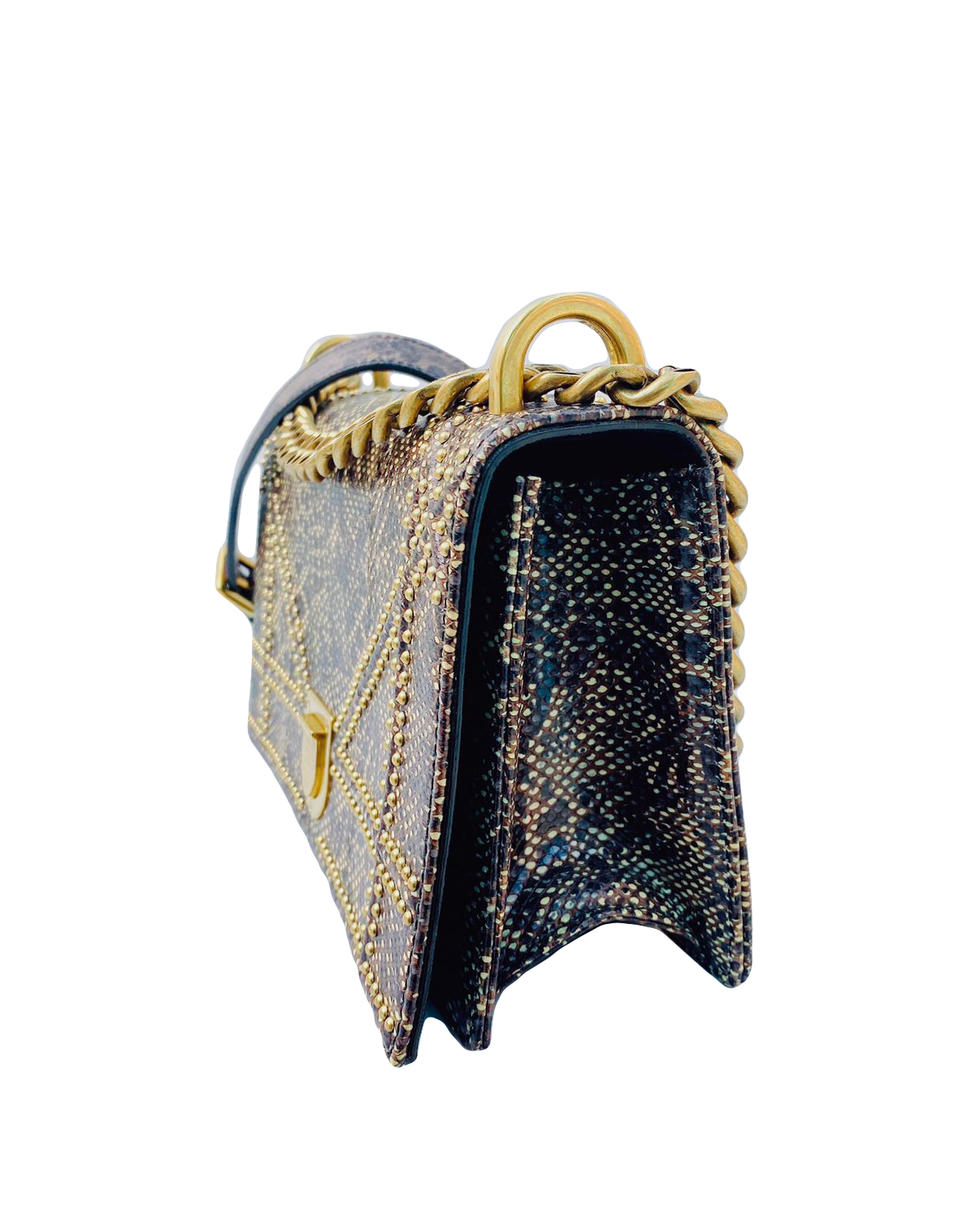 MULTICOLORED EXOTIC SKIN STUDDED DIORAMA SMALL SHOULDER BAG