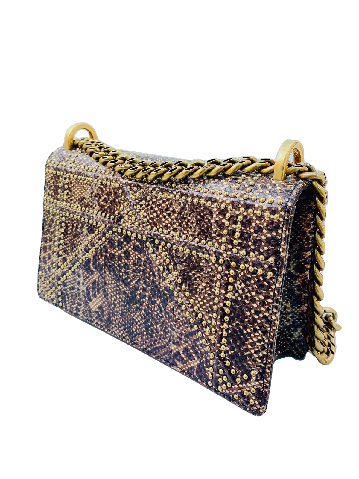 MULTICOLORED EXOTIC SKIN STUDDED DIORAMA SMALL SHOULDER BAG