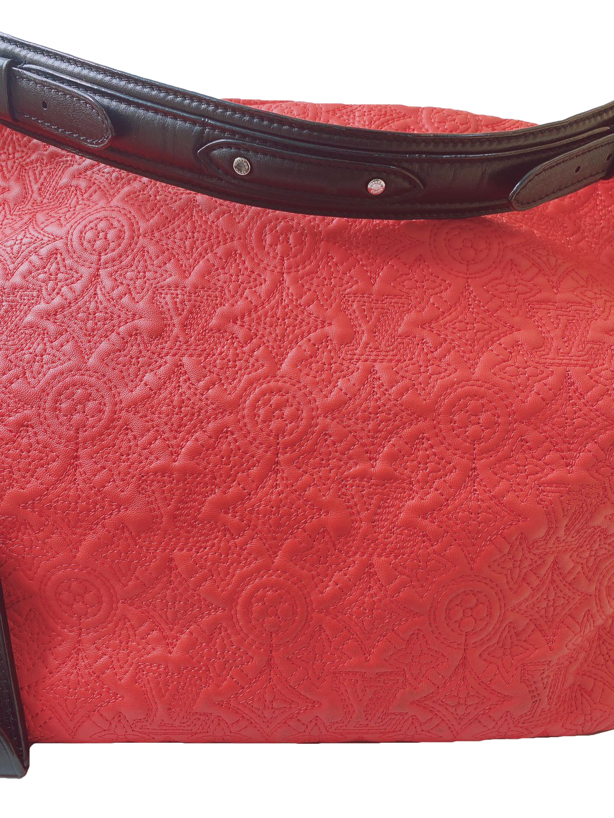 FRAMBOISE MONOGRAM ANTHEIA LEATHER BRODE GM