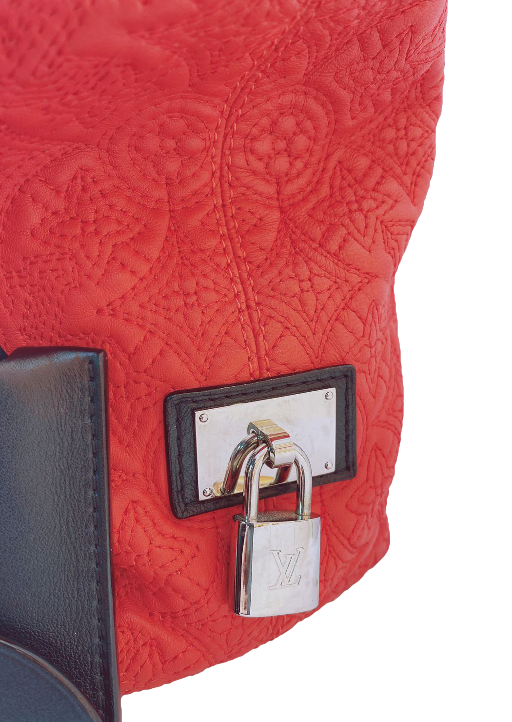 FRAMBOISE MONOGRAM ANTHEIA LEATHER BRODE GM
