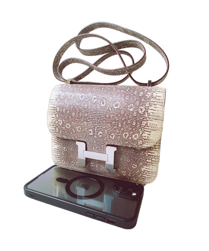 CONSTANCE III MINI 18 OMBRE LIZARD PALLADIUM HARDWARE