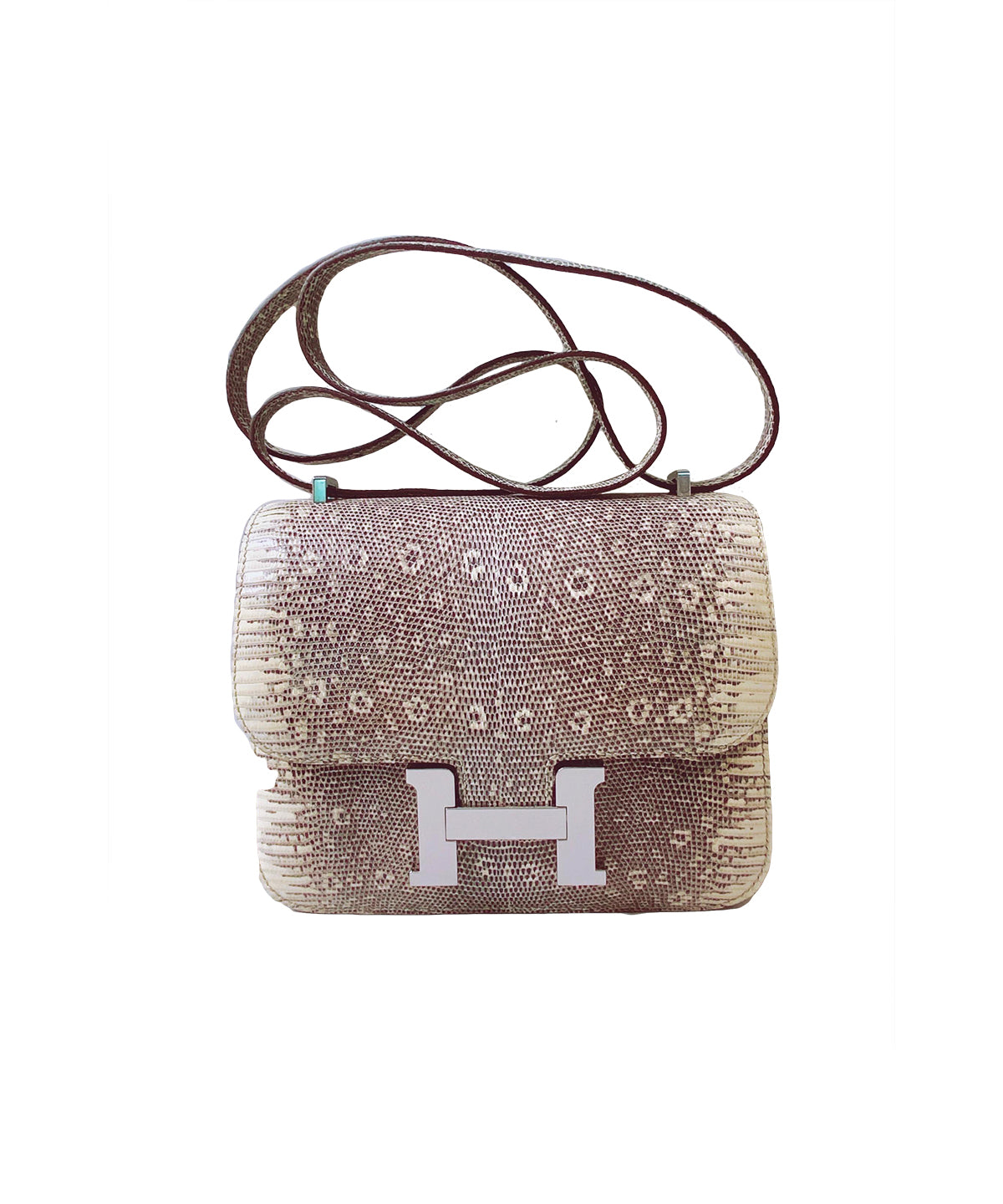 CONSTANCE III MINI 18 OMBRE LIZARD PALLADIUM HARDWARE