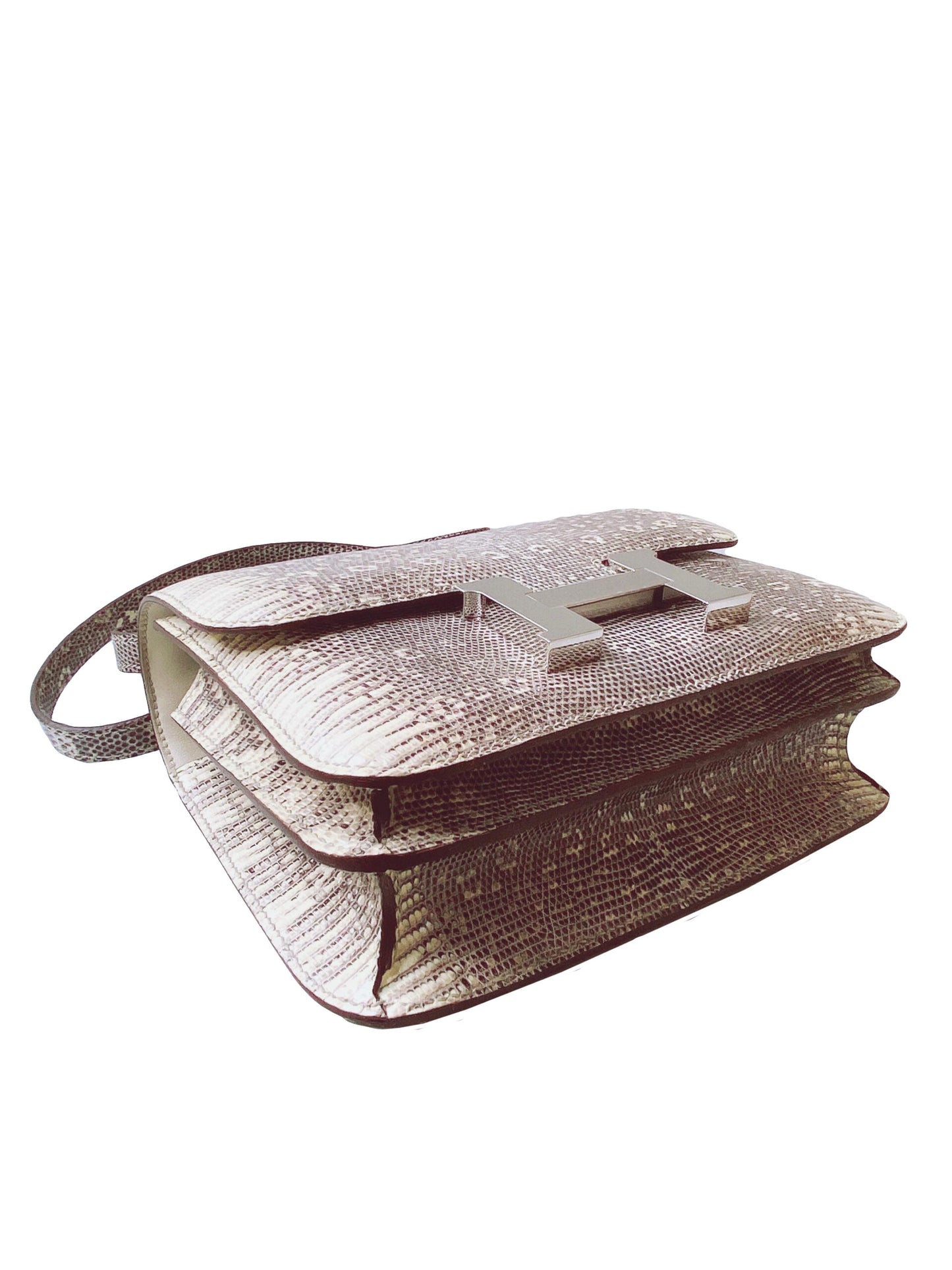 CONSTANCE III MINI 18 OMBRE LIZARD PALLADIUM HARDWARE