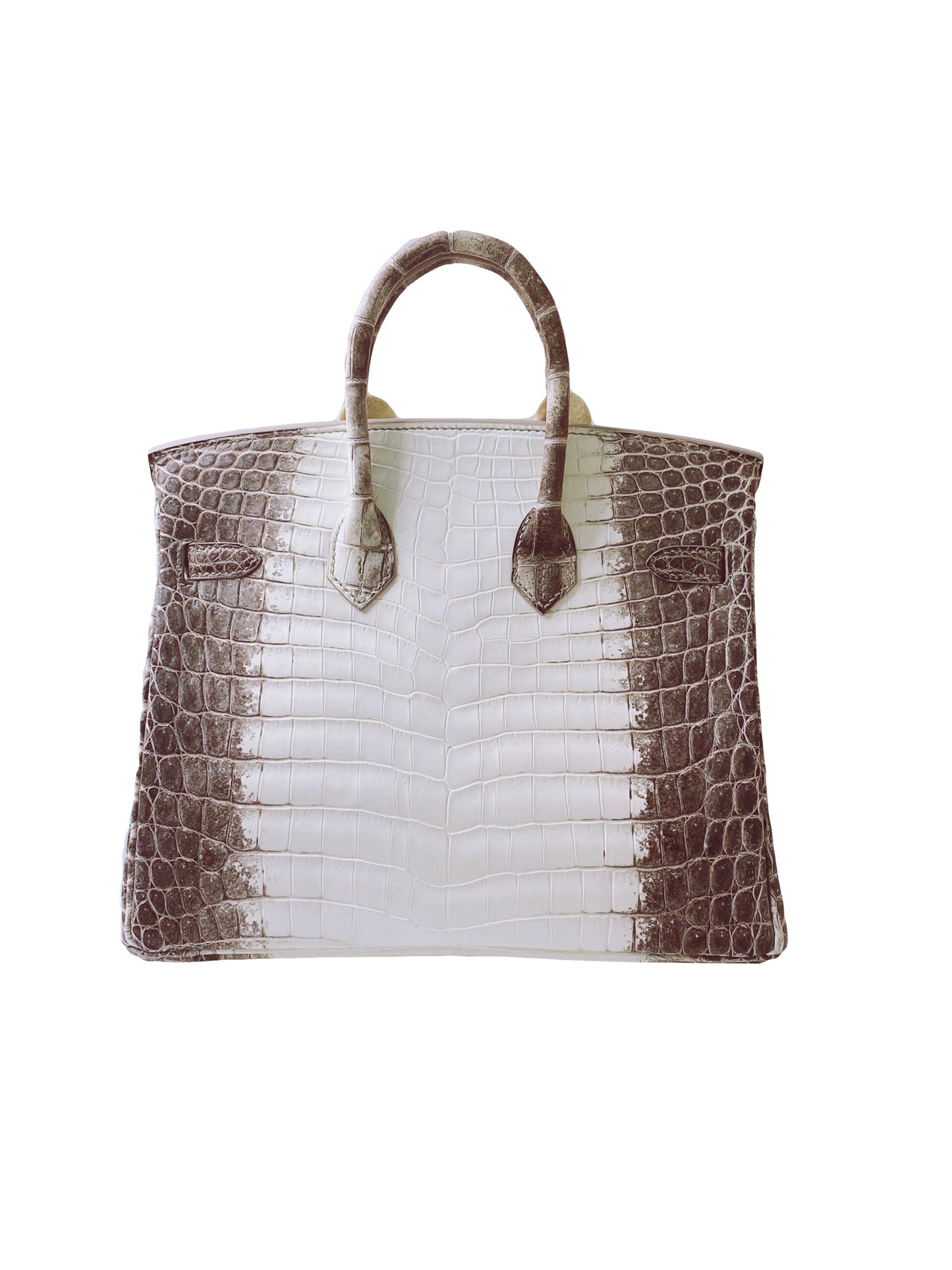 BIRKIN 25 HIMALAYA NILOTICUS CROCODILE 18K WHITE GOLD AND DIAMOND ENCRUSTED HARDWARE