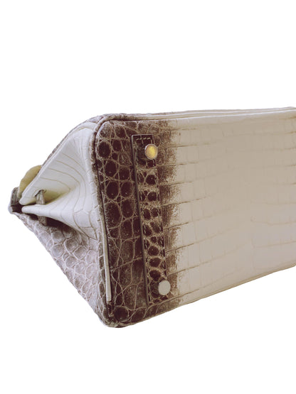 BIRKIN 25 HIMALAYA NILOTICUS CROCODILE 18K WHITE GOLD AND DIAMOND ENCRUSTED HARDWARE