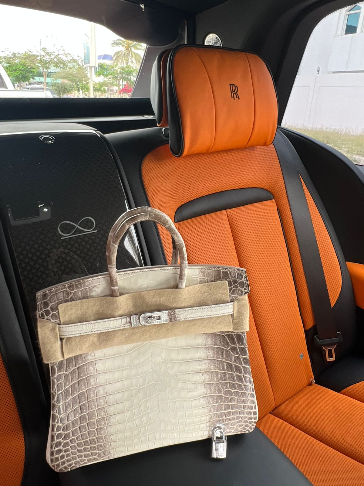 BIRKIN 25 HIMALAYA NILOTICUS CROCODILE 18K WHITE GOLD AND DIAMOND ENCRUSTED HARDWARE