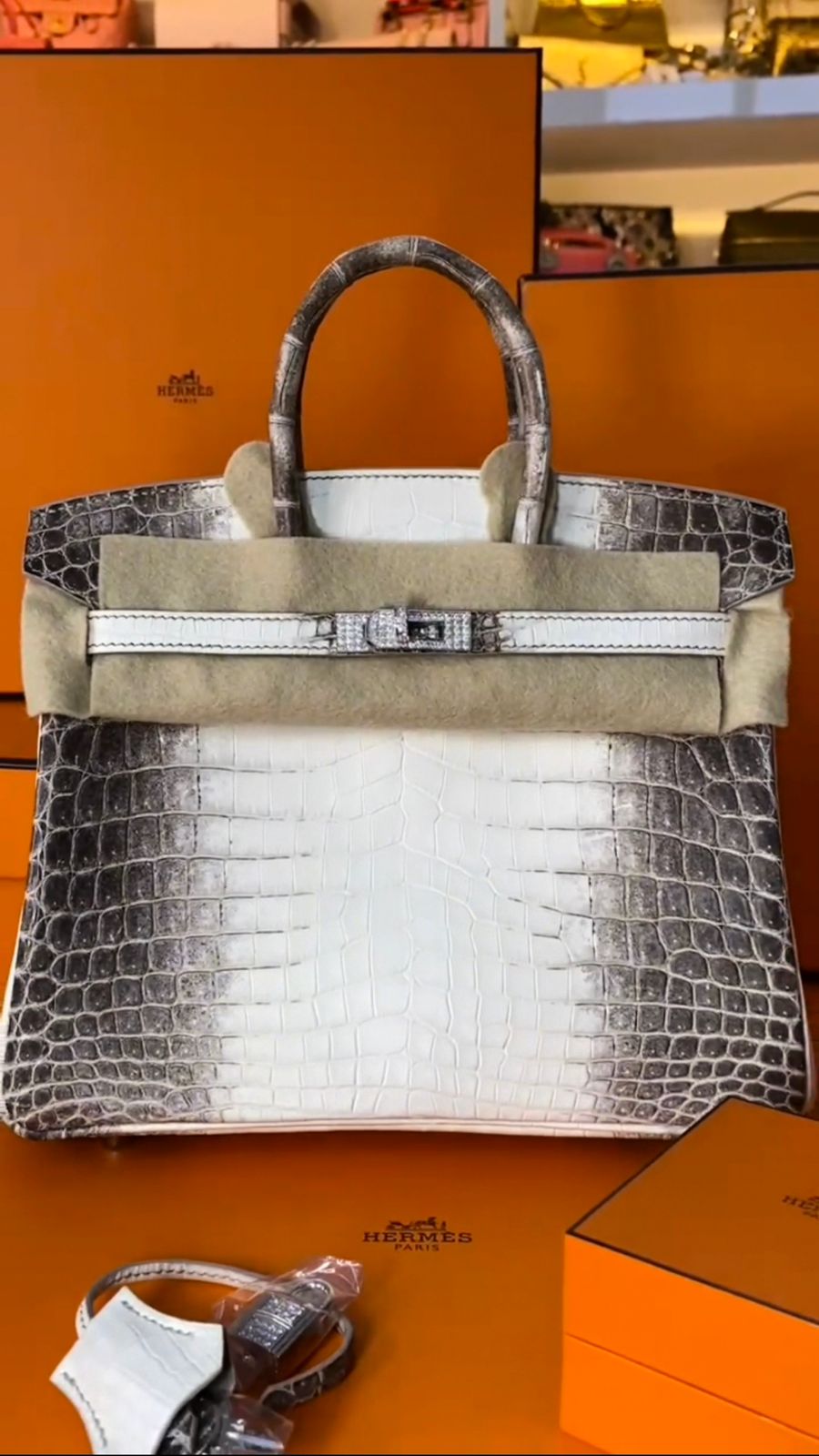 BIRKIN 25 HIMALAYA NILOTICUS CROCODILE 18K WHITE GOLD AND DIAMOND ENCRUSTED HARDWARE