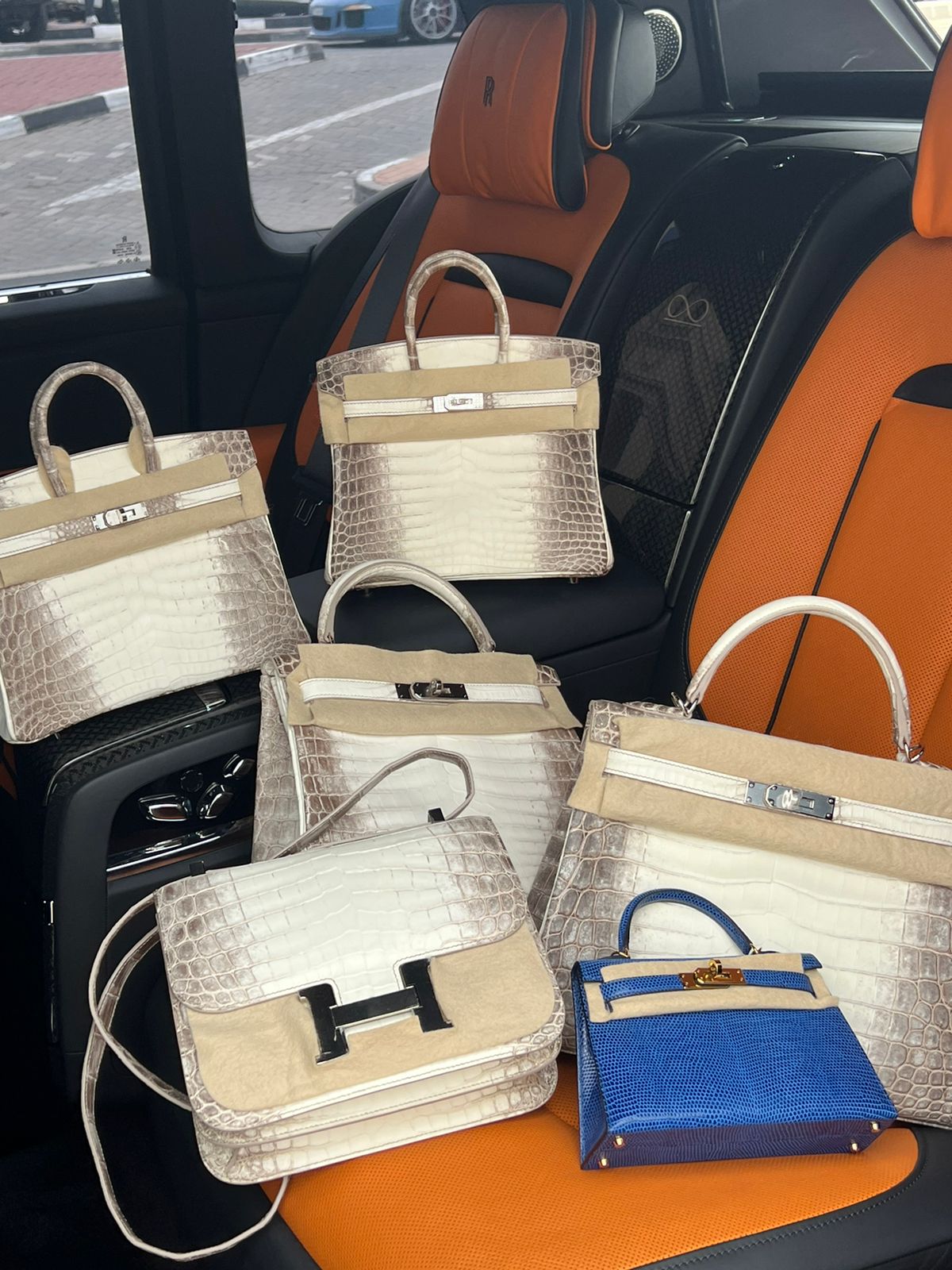 BIRKIN 25 HIMALAYA NILOTICUS CROCODILE 18K WHITE GOLD AND DIAMOND ENCRUSTED HARDWARE
