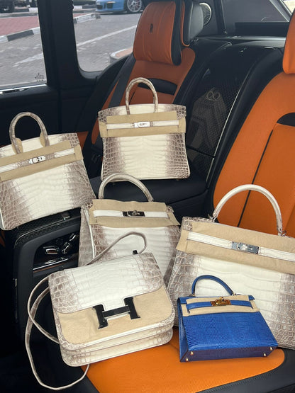 BIRKIN 25 HIMALAYA NILOTICUS CROCODILE 18K WHITE GOLD AND DIAMOND ENCRUSTED HARDWARE