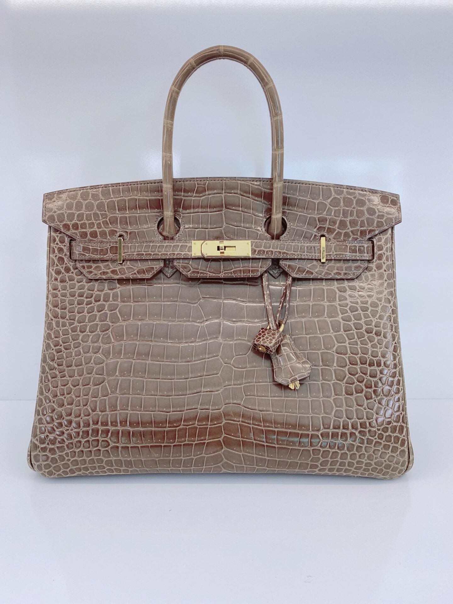 GRIS ELEPHANT SHINY POROSUS CROCODILE BIRKIN 35 GOLD HARDWARE