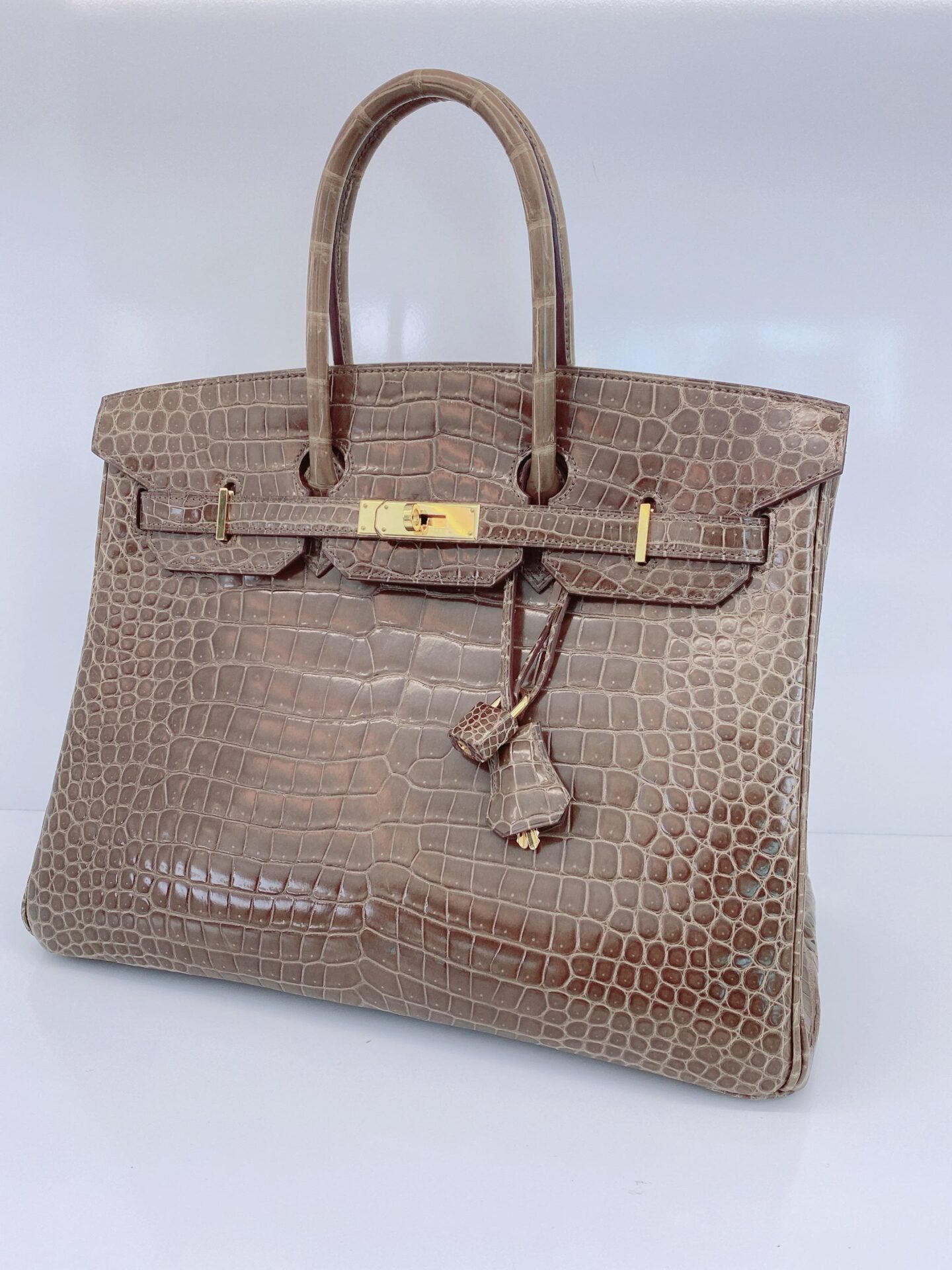 GRIS ELEPHANT SHINY POROSUS CROCODILE BIRKIN 35 GOLD HARDWARE