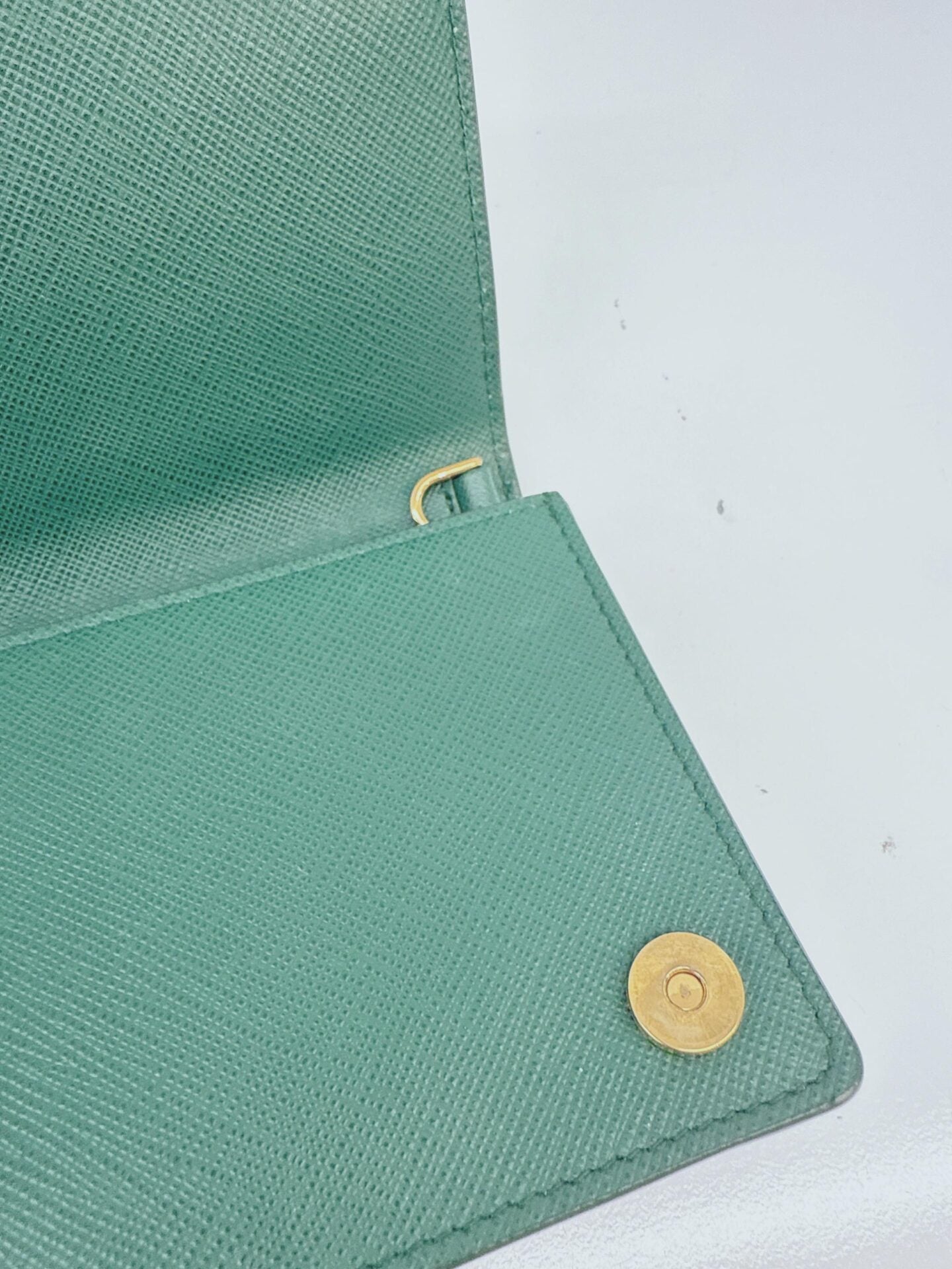 GREEN SAFFIANO LEATHER CAHIER WALLET ON CHAIN