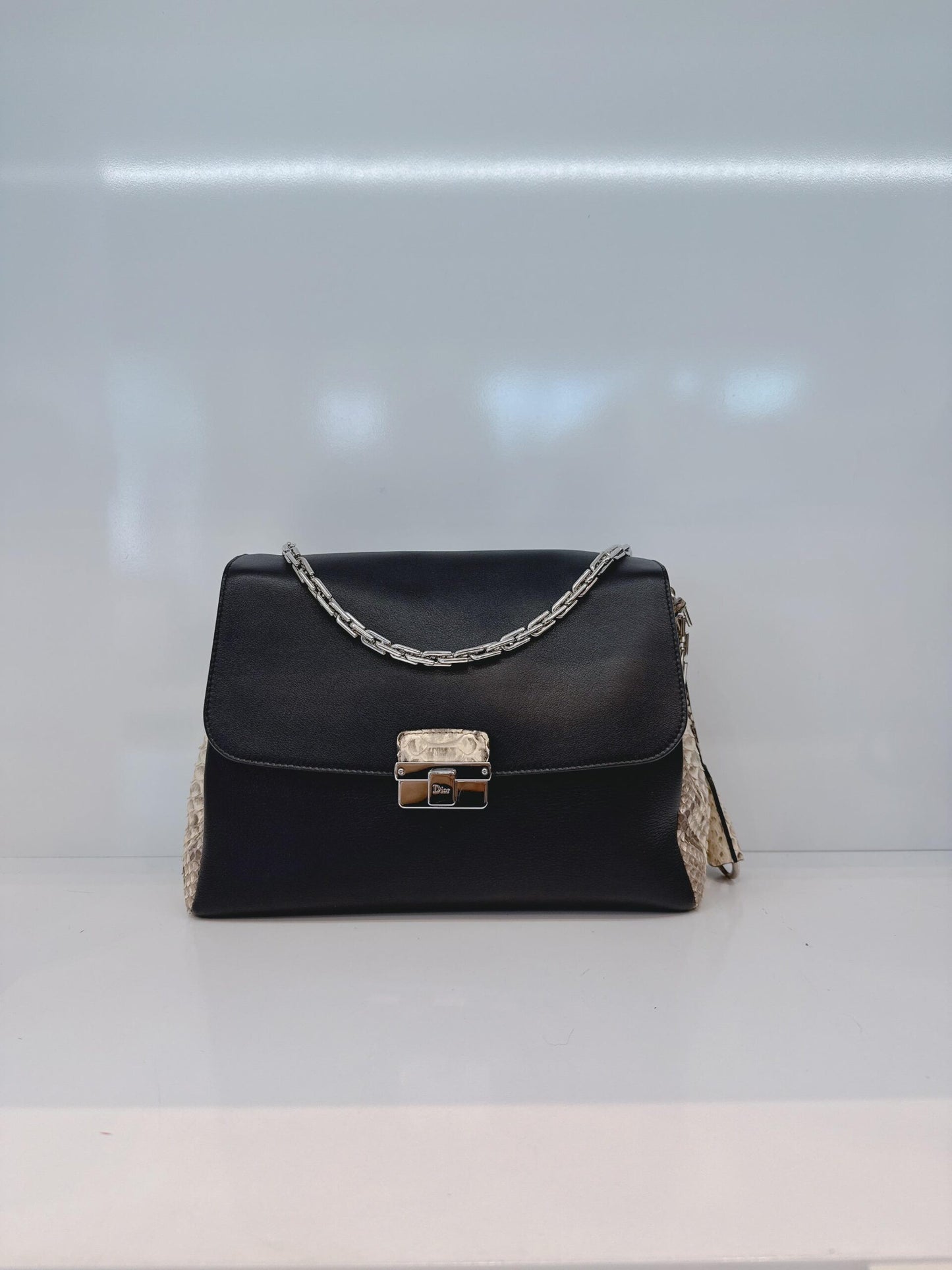 BLACK CALFSKIN PYTHON LEATHER LARGE DIORLING BAG