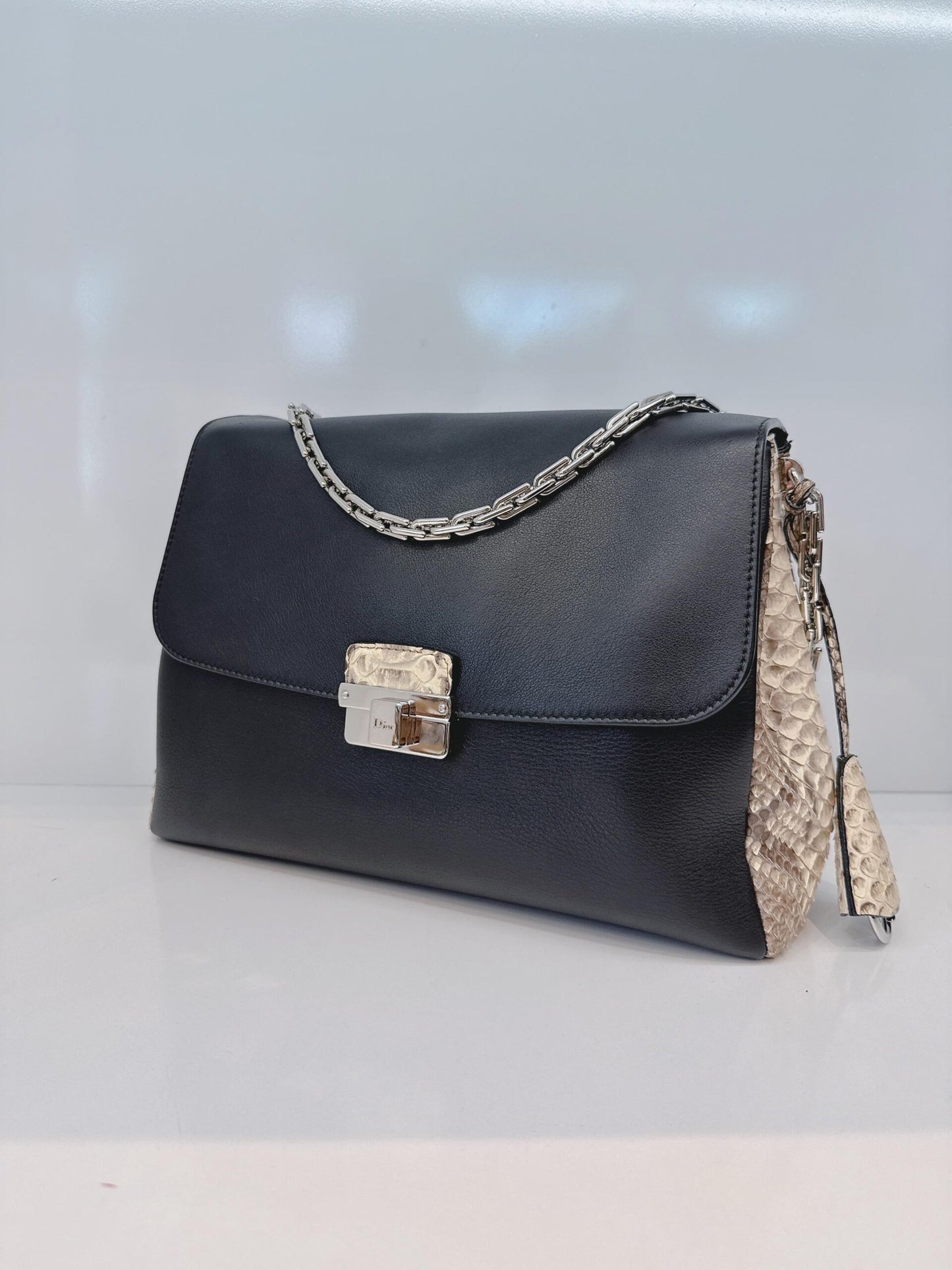 BLACK CALFSKIN PYTHON LEATHER LARGE DIORLING BAG