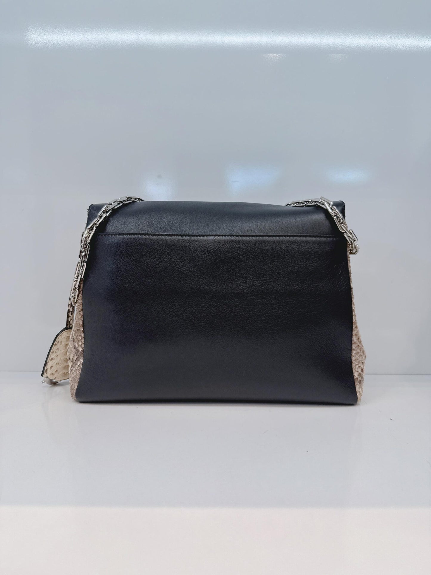 BLACK CALFSKIN PYTHON LEATHER LARGE DIORLING BAG