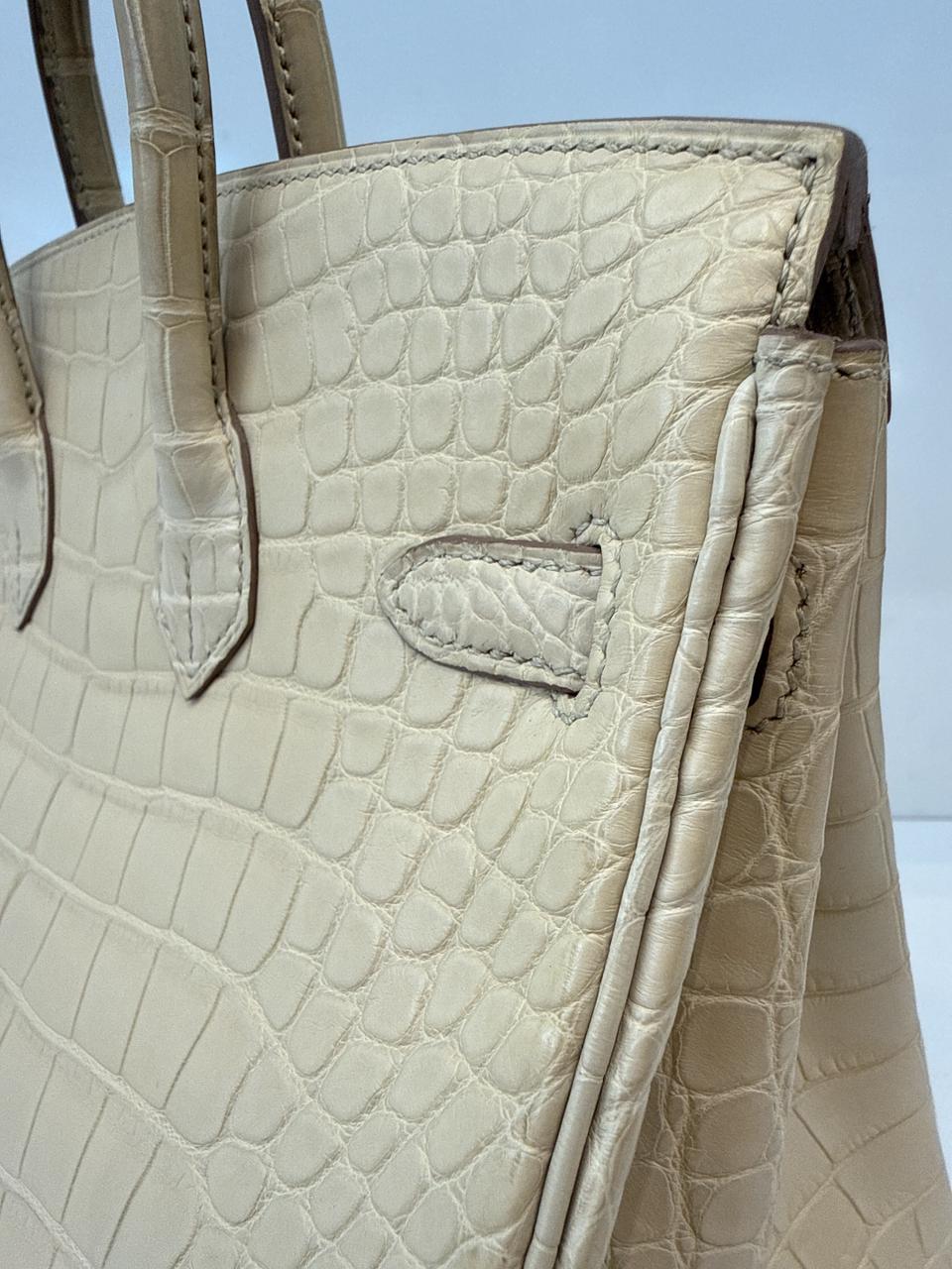 BETON MATTE ALLIGATOR BIRKIN 25 PALLADIUM HARDWARE