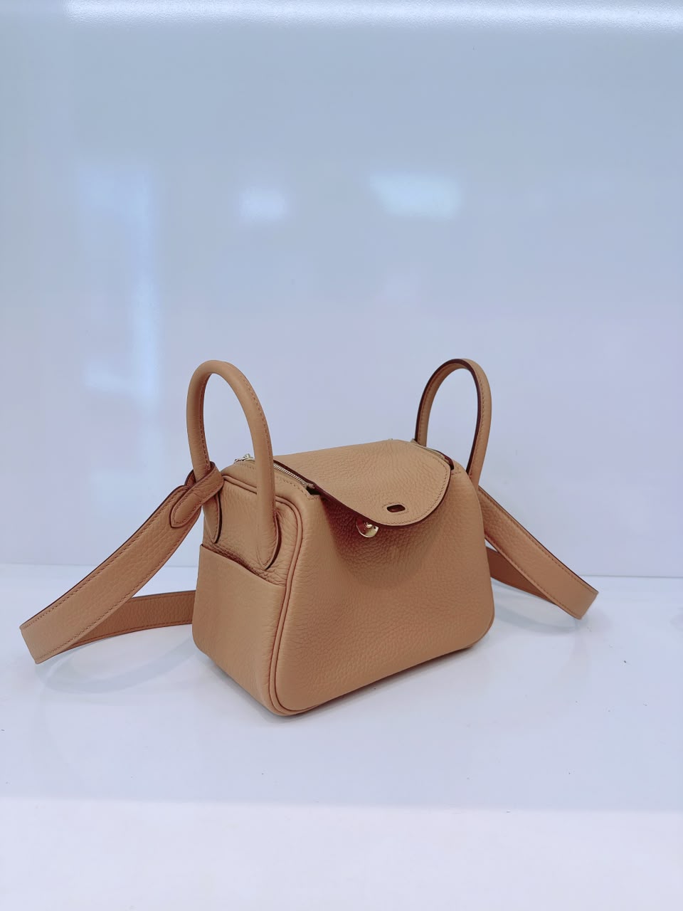 BISCUIT MINI LINDY 20 CLEMENCE LEATHER GOLD HARDWARE