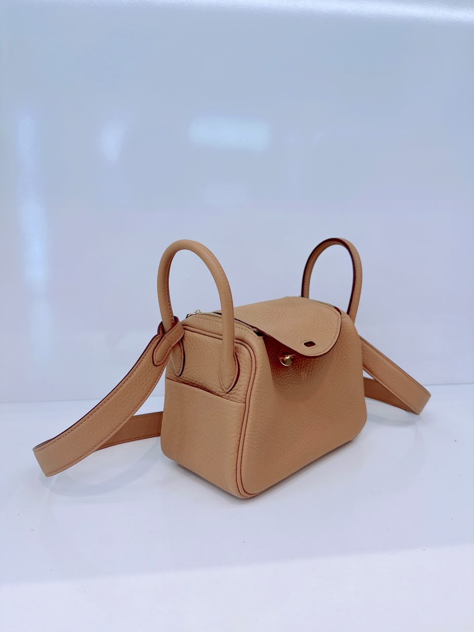 BISCUIT MINI LINDY 20 CLEMENCE LEATHER GOLD HARDWARE