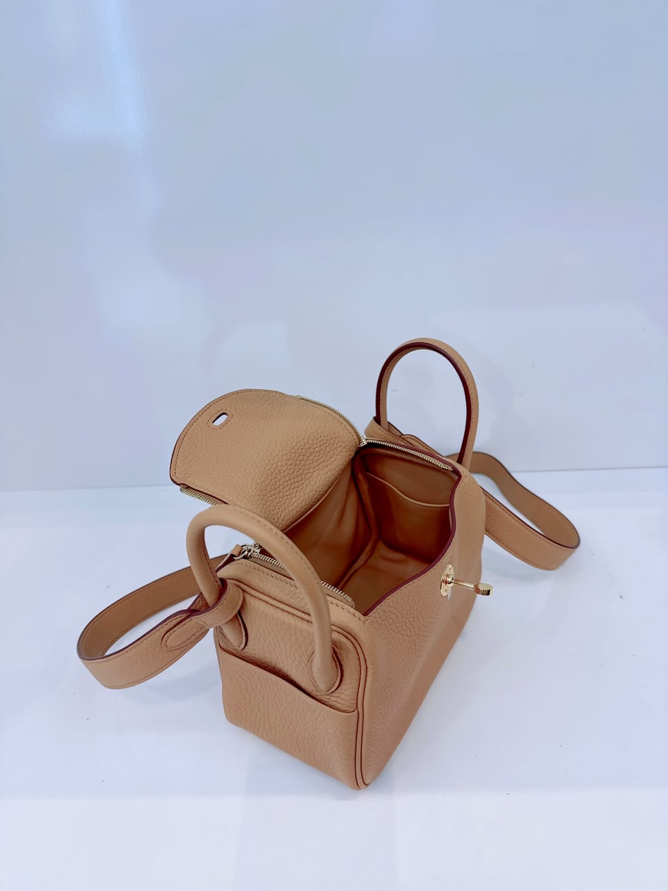 BISCUIT MINI LINDY 20 CLEMENCE LEATHER GOLD HARDWARE