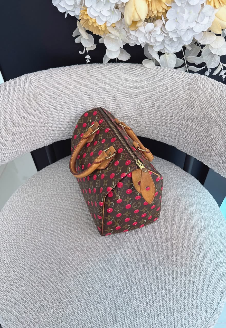 CHERRY CERISES MONOGRAM SPEEDY 25
