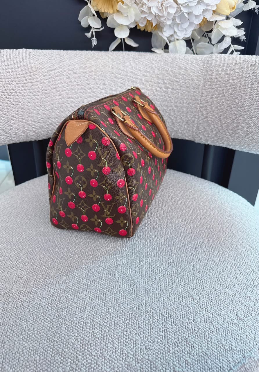 CHERRY CERISES MONOGRAM SPEEDY 25