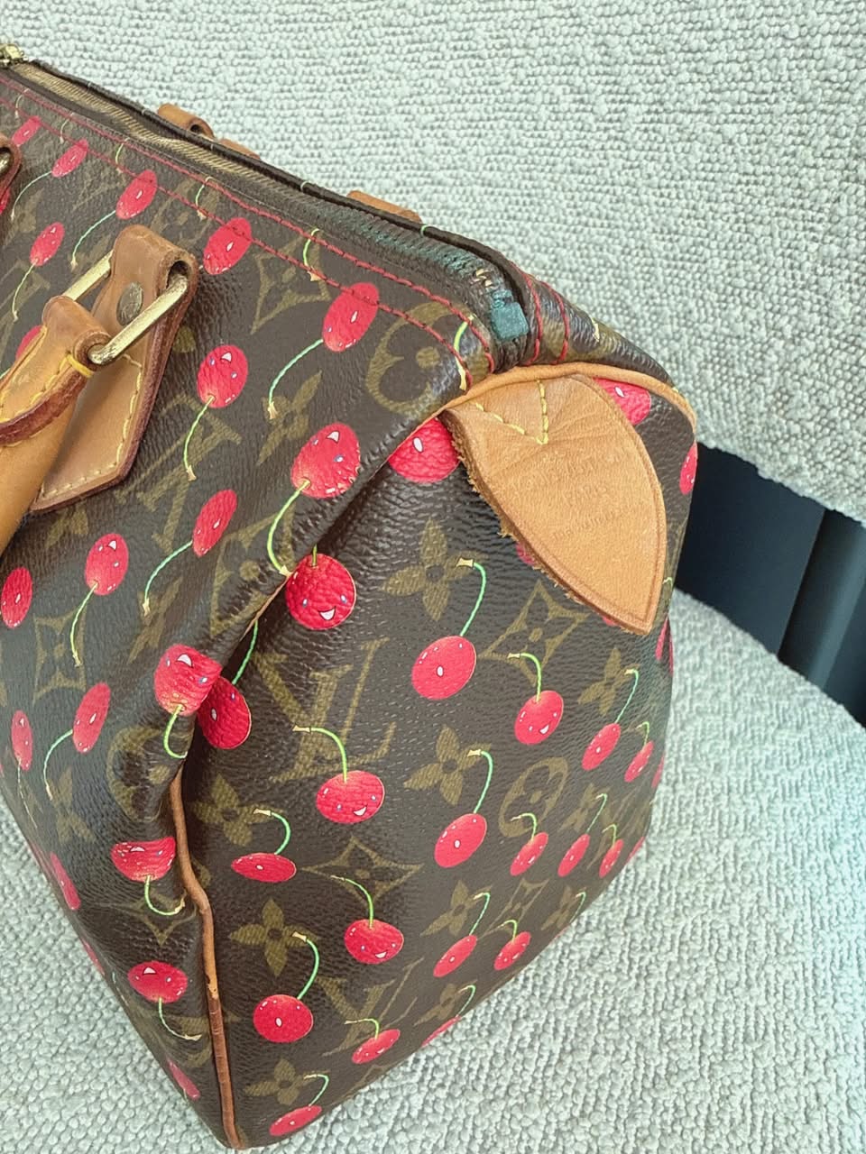 CHERRY CERISES MONOGRAM SPEEDY 25