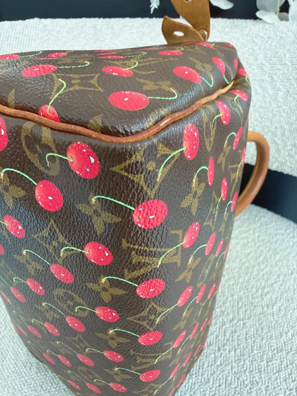 CHERRY CERISES MONOGRAM SPEEDY 25