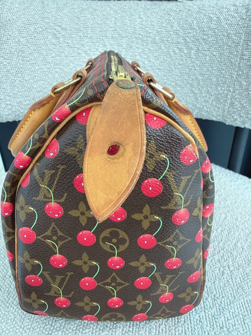 CHERRY CERISES MONOGRAM SPEEDY 25