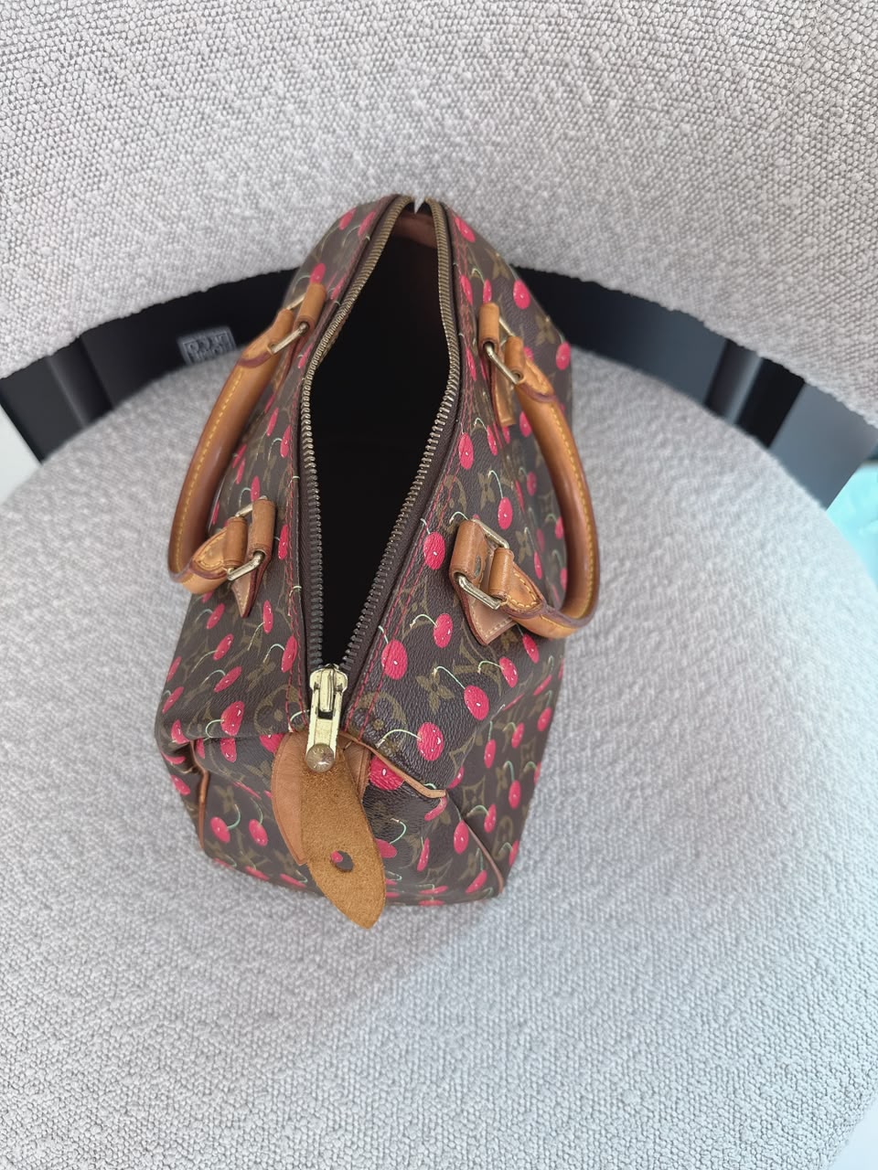 CHERRY CERISES MONOGRAM SPEEDY 25