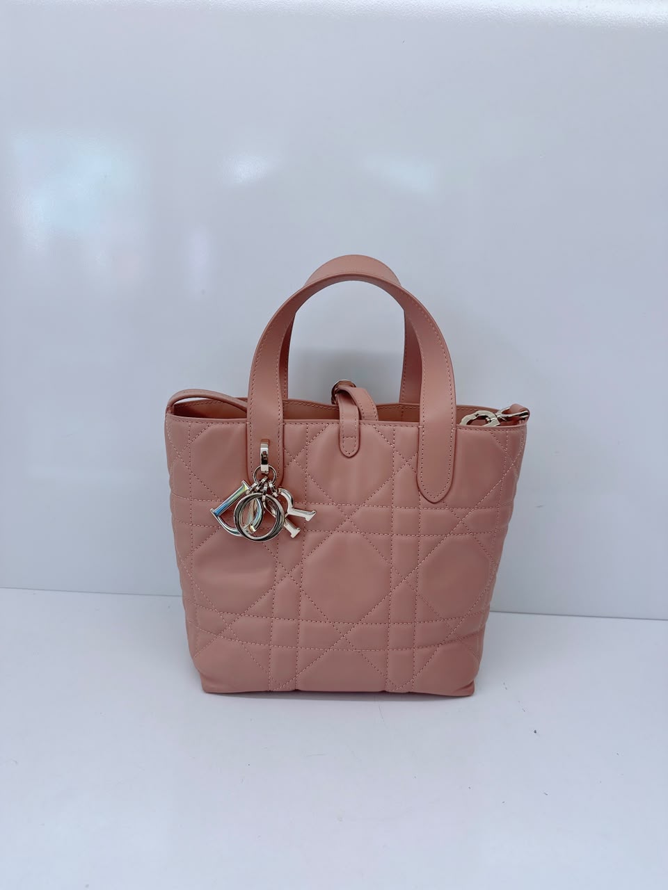 ROSE DES VENTS CALFSKIN MACROCANNAGE SMALL TOUJOURS VERTICAL TOTE