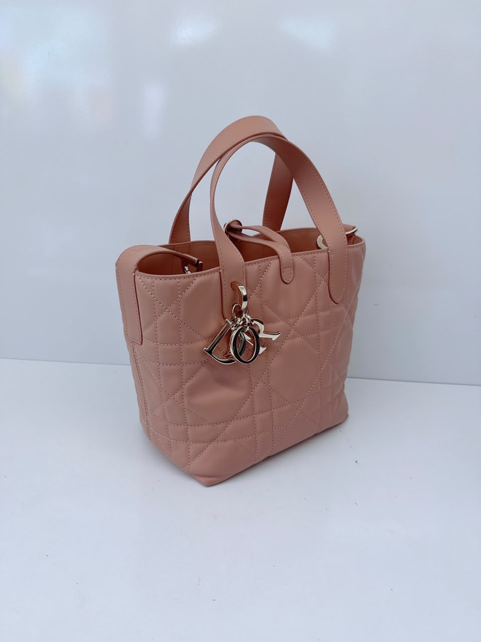 ROSE DES VENTS CALFSKIN MACROCANNAGE SMALL TOUJOURS VERTICAL TOTE