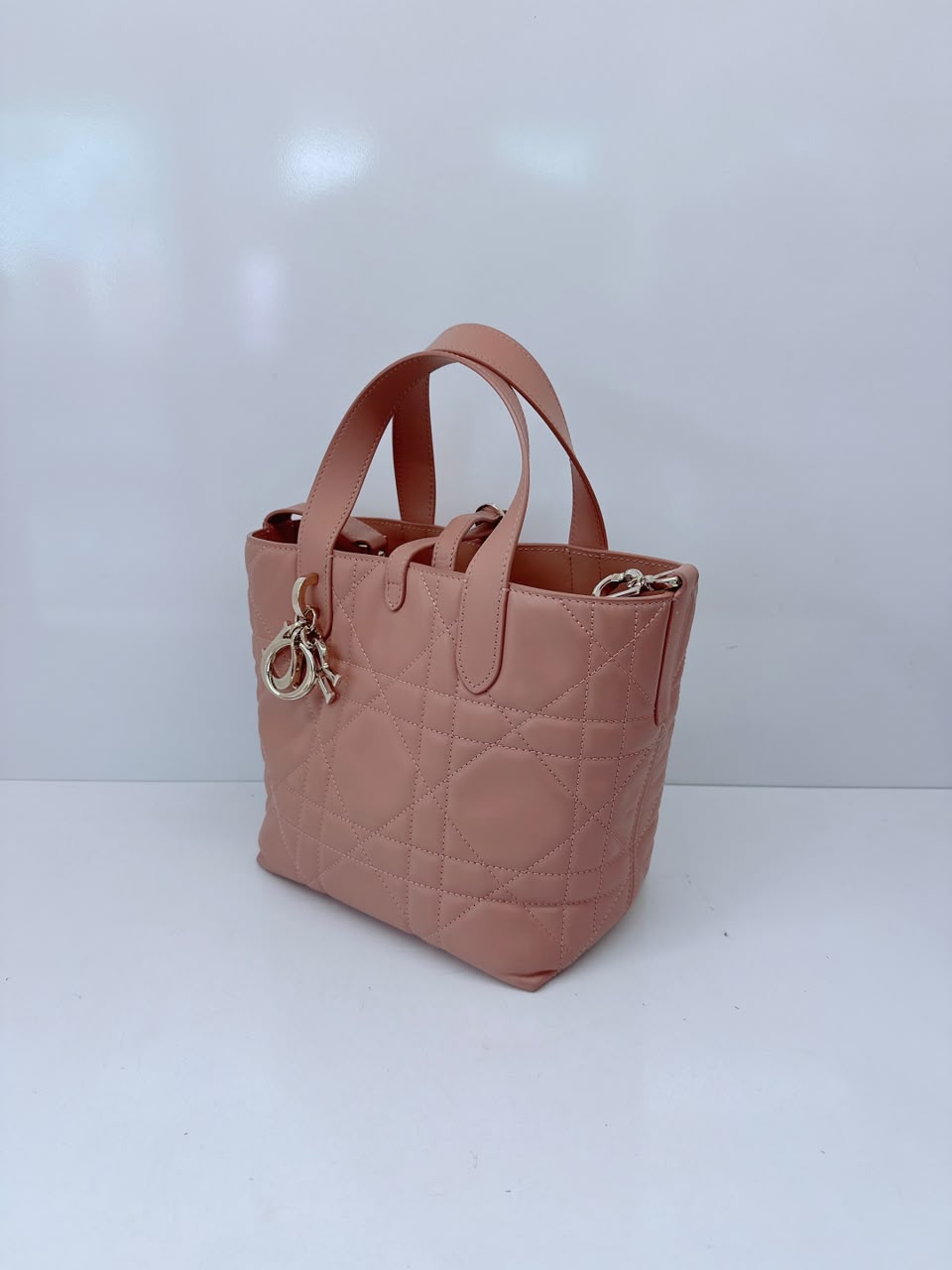 ROSE DES VENTS CALFSKIN MACROCANNAGE SMALL TOUJOURS VERTICAL TOTE