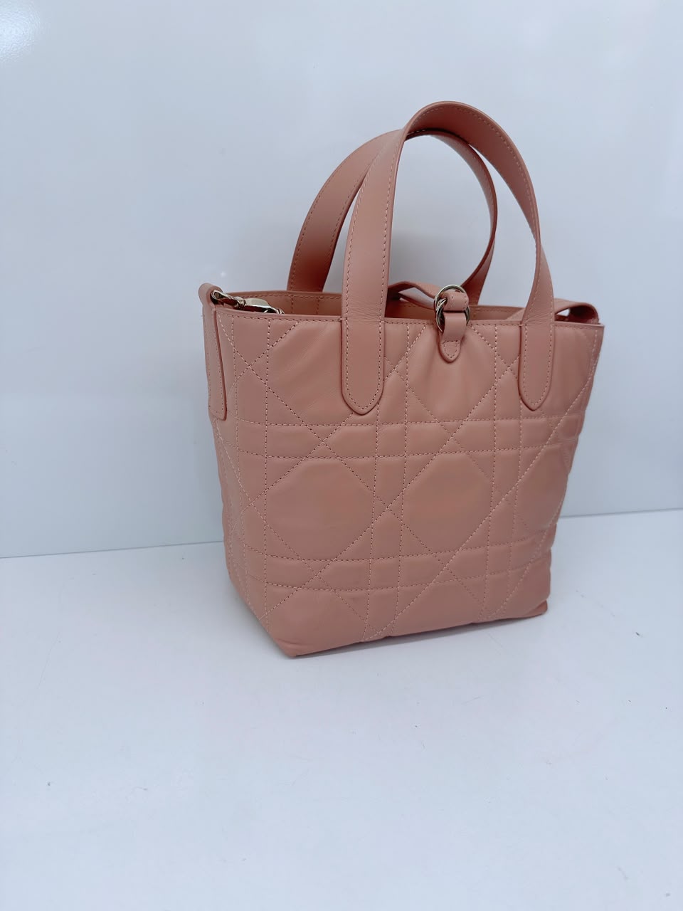 ROSE DES VENTS CALFSKIN MACROCANNAGE SMALL TOUJOURS VERTICAL TOTE