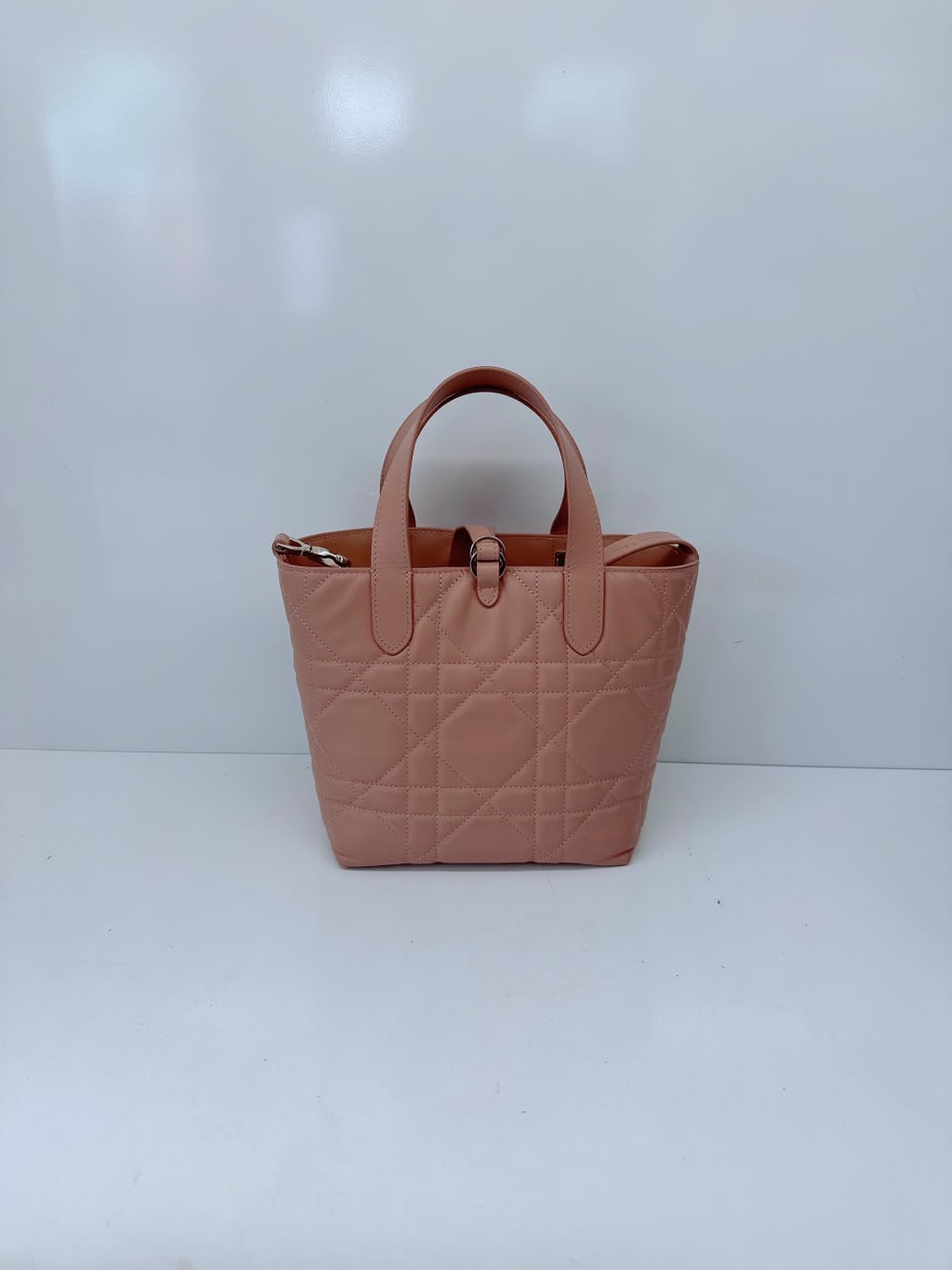 ROSE DES VENTS CALFSKIN MACROCANNAGE SMALL TOUJOURS VERTICAL TOTE