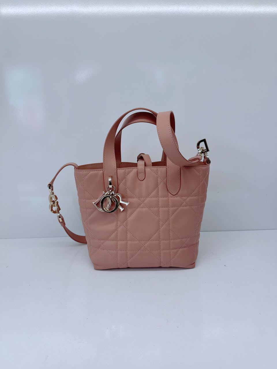 ROSE DES VENTS CALFSKIN MACROCANNAGE SMALL TOUJOURS VERTICAL TOTE