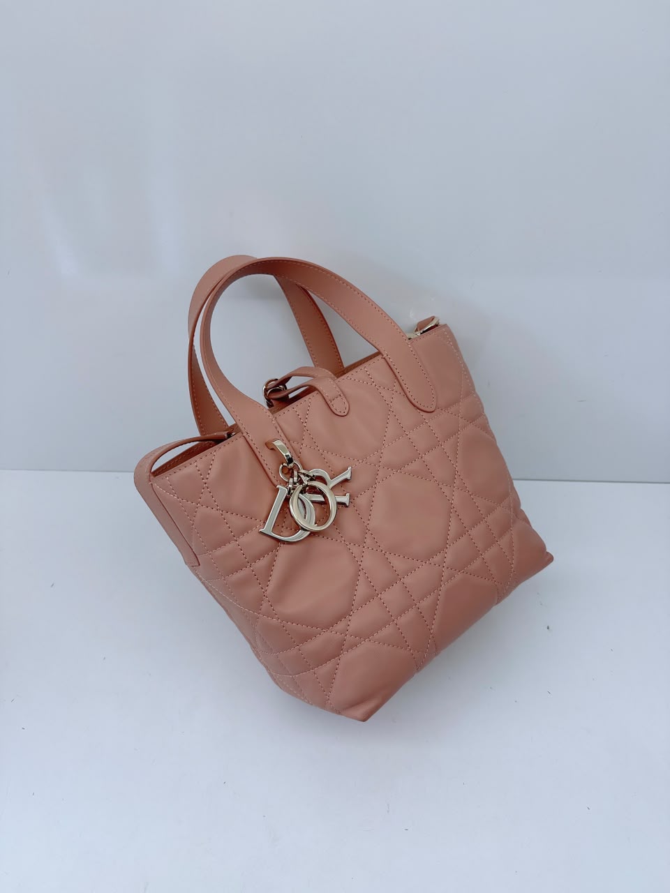 ROSE DES VENTS CALFSKIN MACROCANNAGE SMALL TOUJOURS VERTICAL TOTE