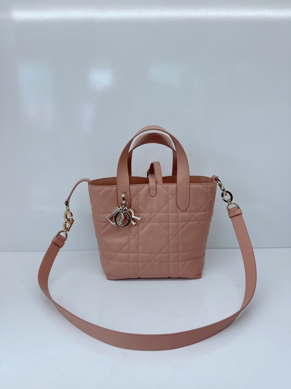 ROSE DES VENTS CALFSKIN MACROCANNAGE SMALL TOUJOURS VERTICAL TOTE