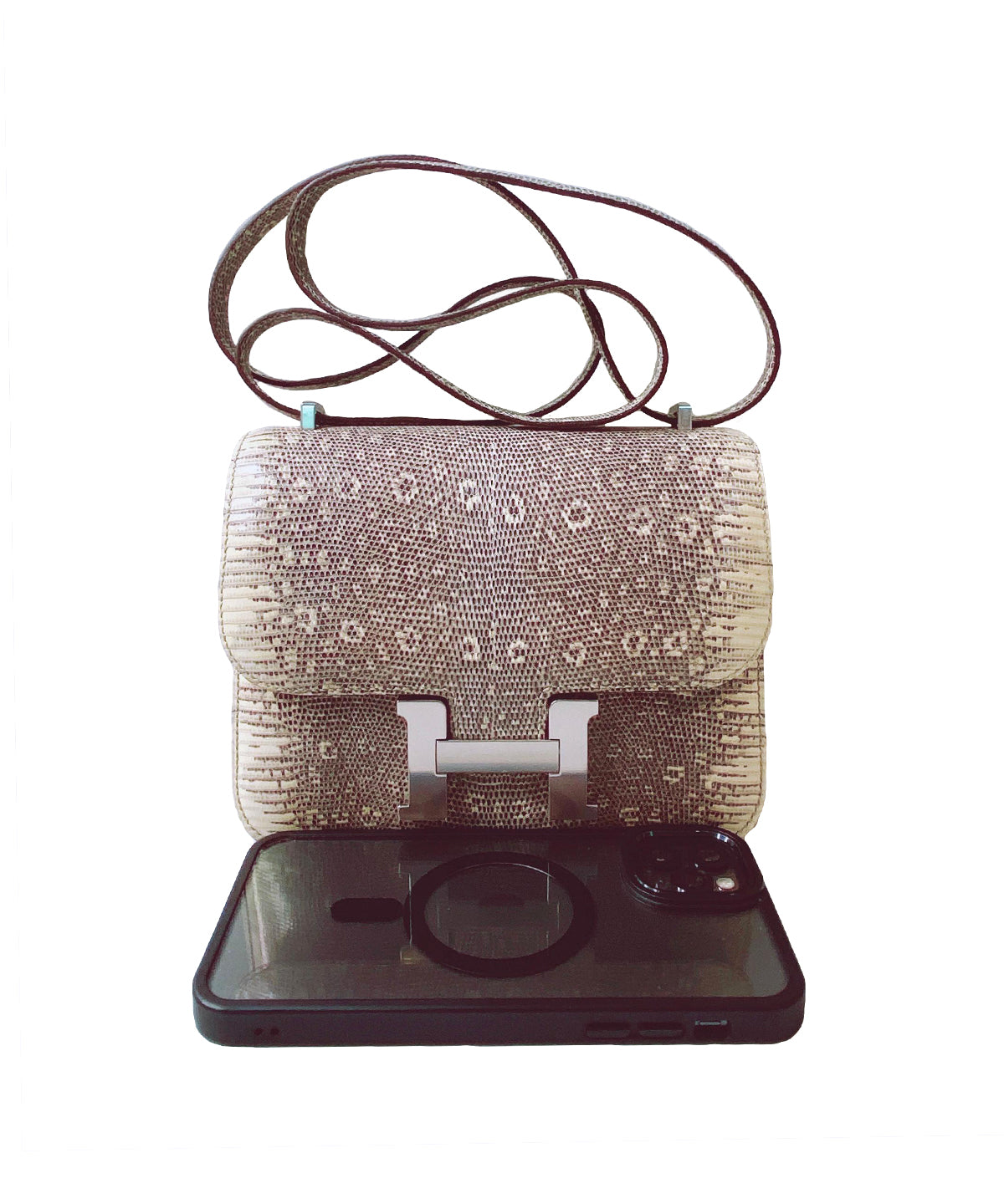 CONSTANCE III MINI 18 OMBRE LIZARD PALLADIUM HARDWARE