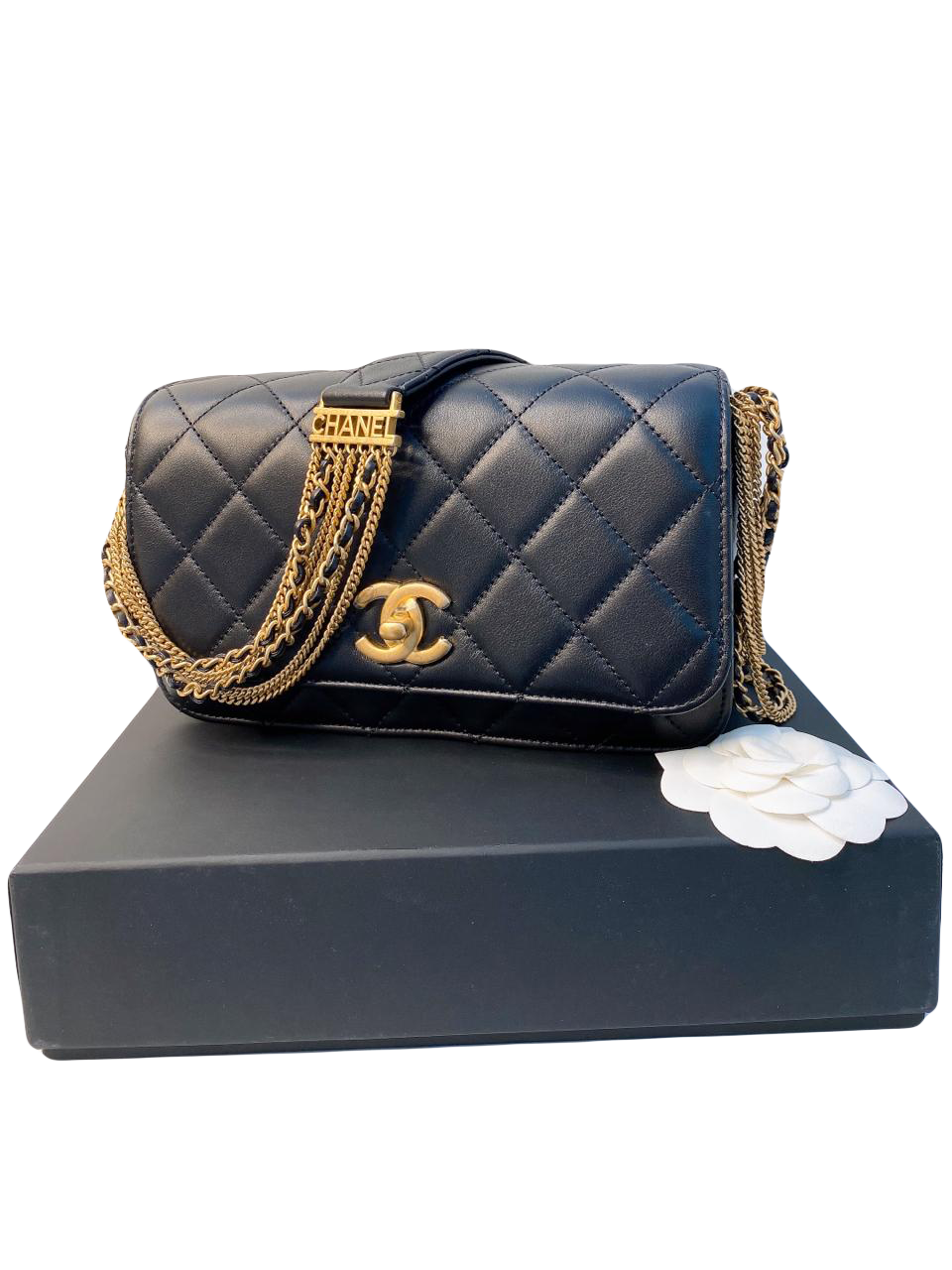 Chanel Medallion Bag With Large Woven Leather Strap