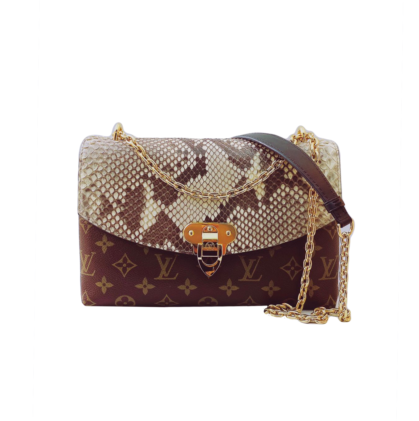 Louis Vuitton Saint Placide Monogram Canvas Python Bag