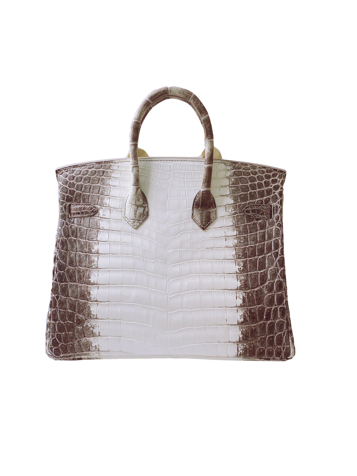 BIRKIN 25 HIMALAYA NILOTICUS CROCODILE 18K WHITE GOLD AND DIAMOND ENCRUSTED HARDWARE