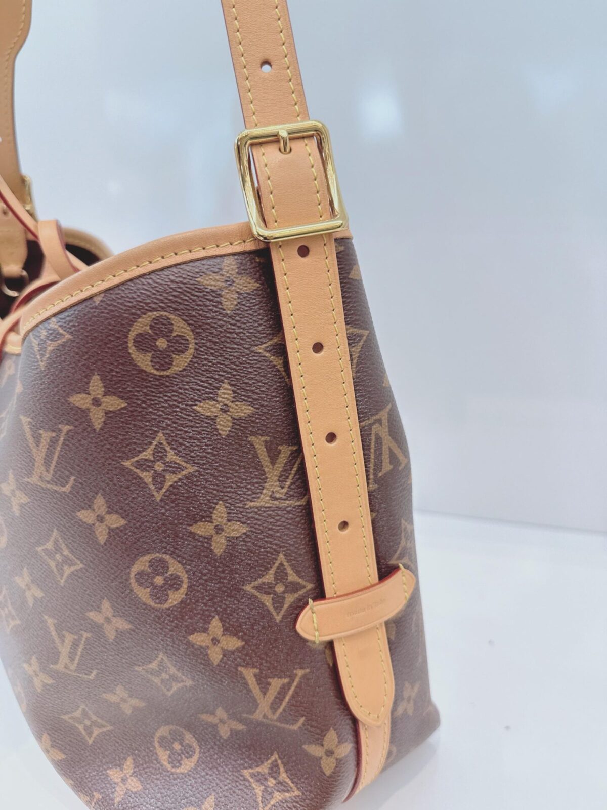 BROWN MONOGRAM CANVAS CARRYALL PM BAG