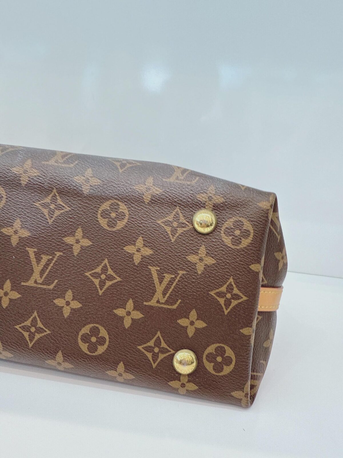BROWN MONOGRAM CANVAS CARRYALL PM BAG