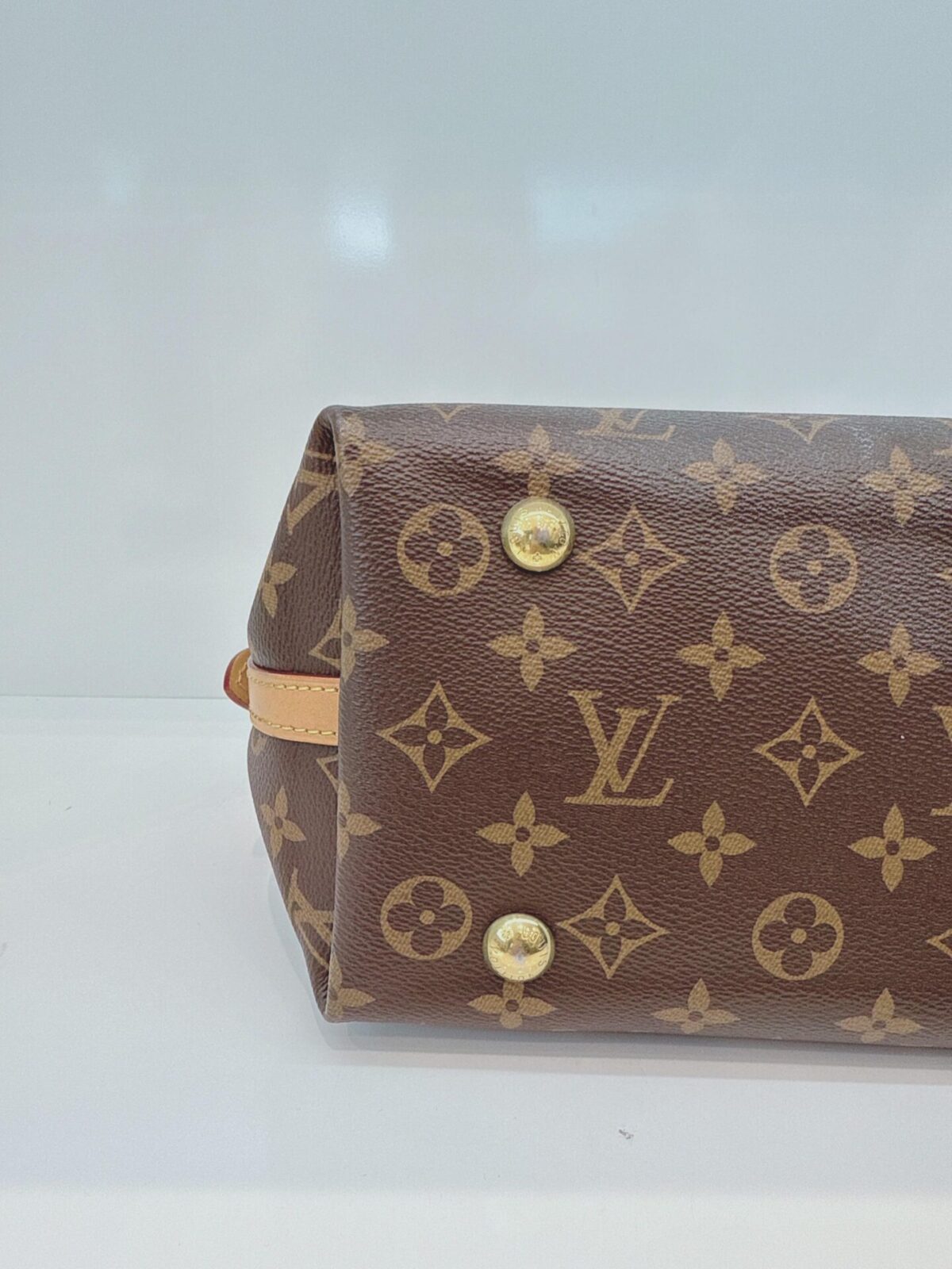 BROWN MONOGRAM CANVAS CARRYALL PM BAG