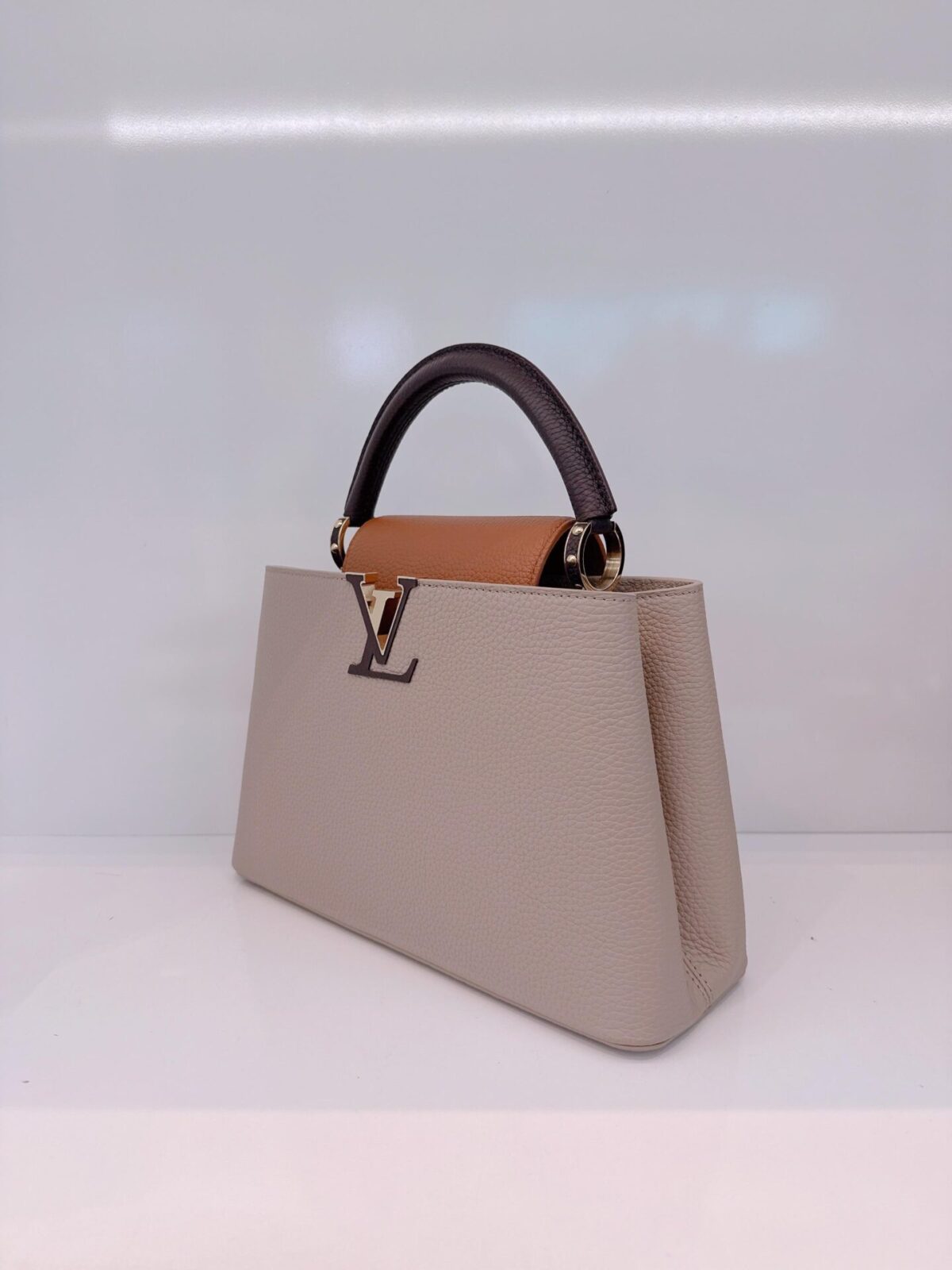 TRICOLOR TAURILLON LEATHER CAPUCINES MM BAG