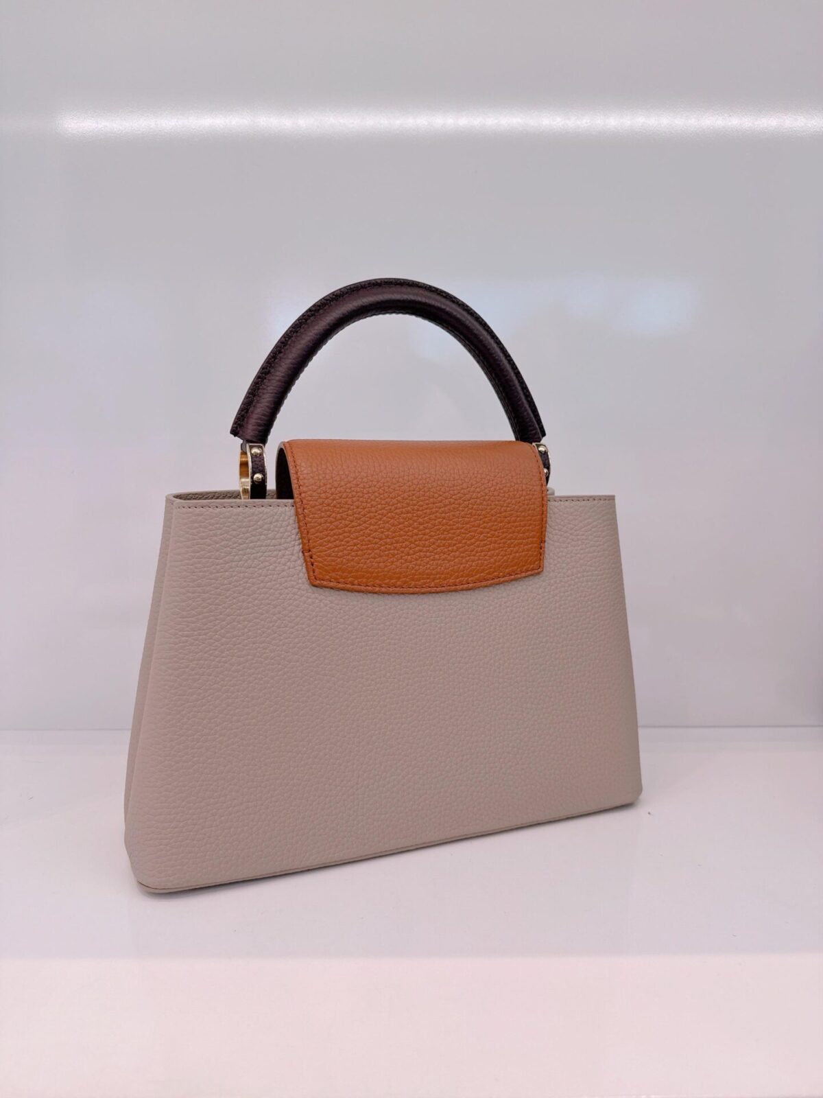 TRICOLOR TAURILLON LEATHER CAPUCINES MM BAG